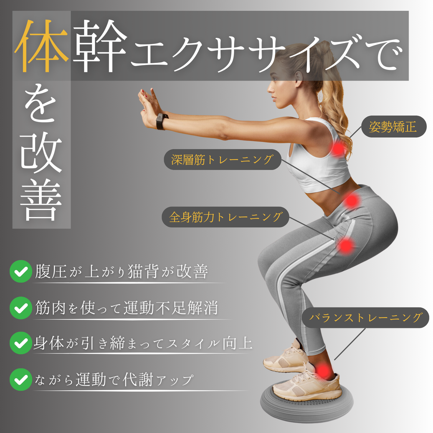 バランスディスク